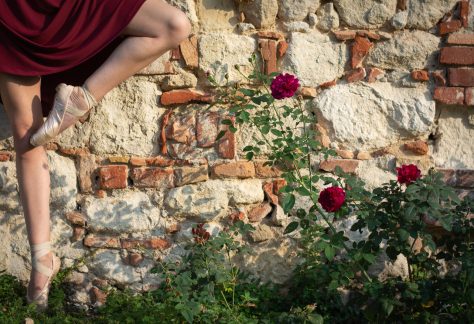 Dettagli di Danza